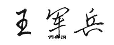 骆恒光王军兵行书个性签名怎么写