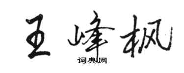 骆恒光王峰枫行书个性签名怎么写