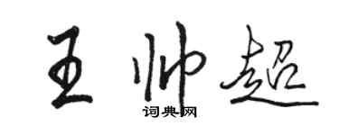 骆恒光王帅超行书个性签名怎么写