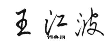 骆恒光王江波行书个性签名怎么写