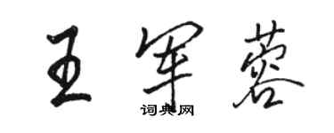 骆恒光王军蓉行书个性签名怎么写