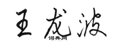 骆恒光王龙波行书个性签名怎么写