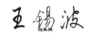 骆恒光王锡波行书个性签名怎么写