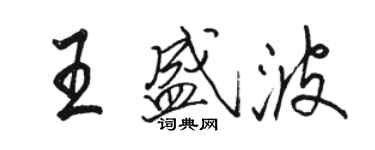 骆恒光王盛波行书个性签名怎么写