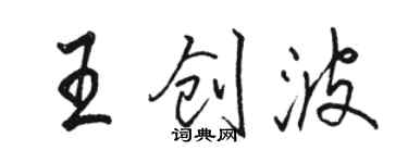 骆恒光王创波行书个性签名怎么写