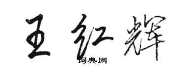 骆恒光王红辉行书个性签名怎么写