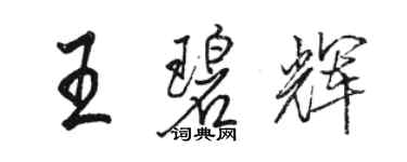 骆恒光王碧辉行书个性签名怎么写