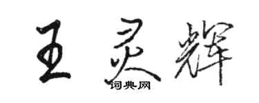 骆恒光王灵辉行书个性签名怎么写