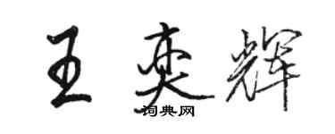 骆恒光王奕辉行书个性签名怎么写