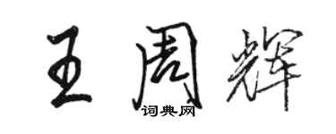 骆恒光王周辉行书个性签名怎么写