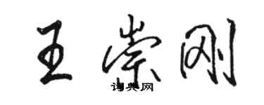 骆恒光王崇刚行书个性签名怎么写