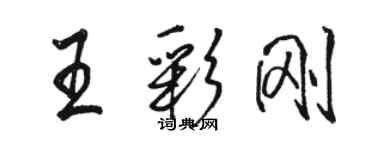 骆恒光王彩刚行书个性签名怎么写