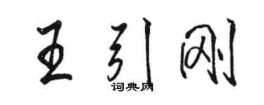 骆恒光王引刚行书个性签名怎么写