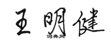骆恒光王明健行书个性签名怎么写