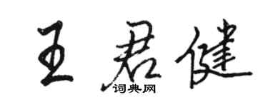 骆恒光王君健行书个性签名怎么写