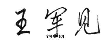 骆恒光王军见行书个性签名怎么写