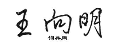 骆恒光王向明行书个性签名怎么写