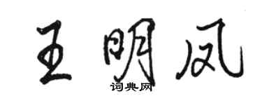 骆恒光王明凤行书个性签名怎么写