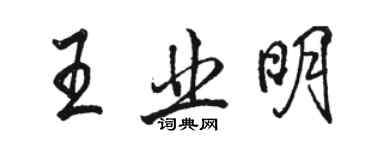 骆恒光王业明行书个性签名怎么写