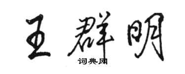 骆恒光王群明行书个性签名怎么写
