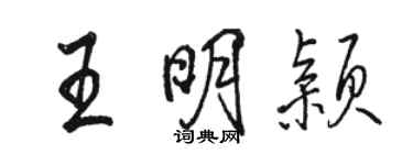 骆恒光王明颖行书个性签名怎么写