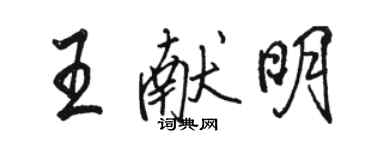 骆恒光王献明行书个性签名怎么写
