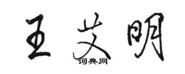 骆恒光王艾明行书个性签名怎么写