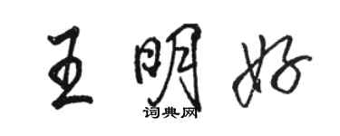 骆恒光王明好行书个性签名怎么写