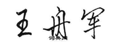 骆恒光王舟军行书个性签名怎么写