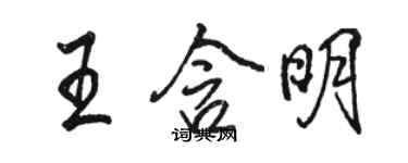 骆恒光王含明行书个性签名怎么写