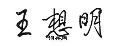 骆恒光王想明行书个性签名怎么写