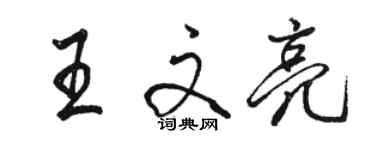骆恒光王文亮行书个性签名怎么写