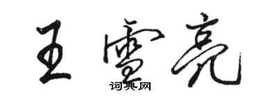 骆恒光王雪亮行书个性签名怎么写