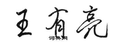 骆恒光王有亮行书个性签名怎么写