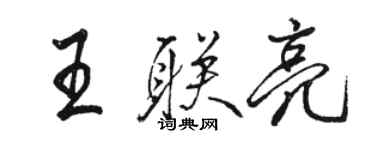 骆恒光王联亮行书个性签名怎么写