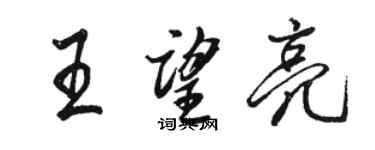 骆恒光王望亮行书个性签名怎么写