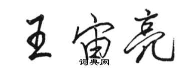 骆恒光王宙亮行书个性签名怎么写