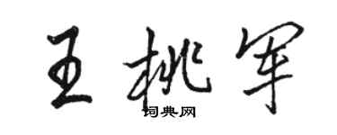 骆恒光王桃军行书个性签名怎么写