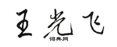 骆恒光王光飞行书个性签名怎么写
