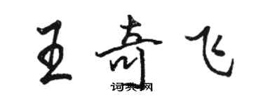 骆恒光王奇飞行书个性签名怎么写