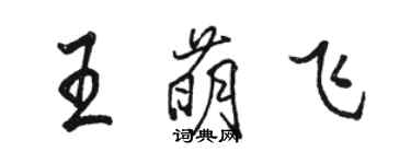 骆恒光王萌飞行书个性签名怎么写