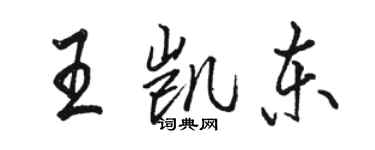 骆恒光王凯东行书个性签名怎么写