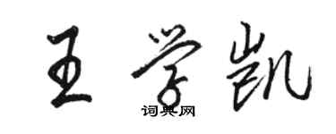 骆恒光王学凯行书个性签名怎么写