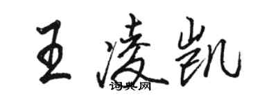骆恒光王凌凯行书个性签名怎么写