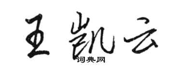 骆恒光王凯云行书个性签名怎么写