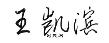 骆恒光王凯滨行书个性签名怎么写