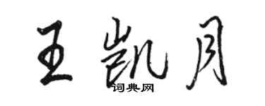 骆恒光王凯月行书个性签名怎么写