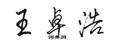 骆恒光王卓浩行书个性签名怎么写