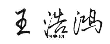 骆恒光王浩鸿行书个性签名怎么写