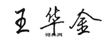 骆恒光王华金行书个性签名怎么写